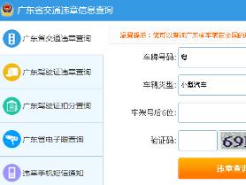 便捷的违章查询，网上查询的实用指南
