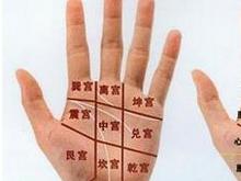 什么样的手掌最正常 0