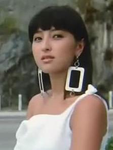 精装追女仔(1987年王晶执导周润发版电影)