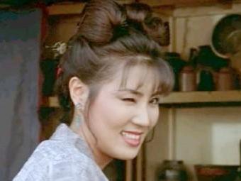 竹夫人(1991年单立文主演电影)