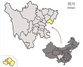 人口老龄化_岳池县县城人口