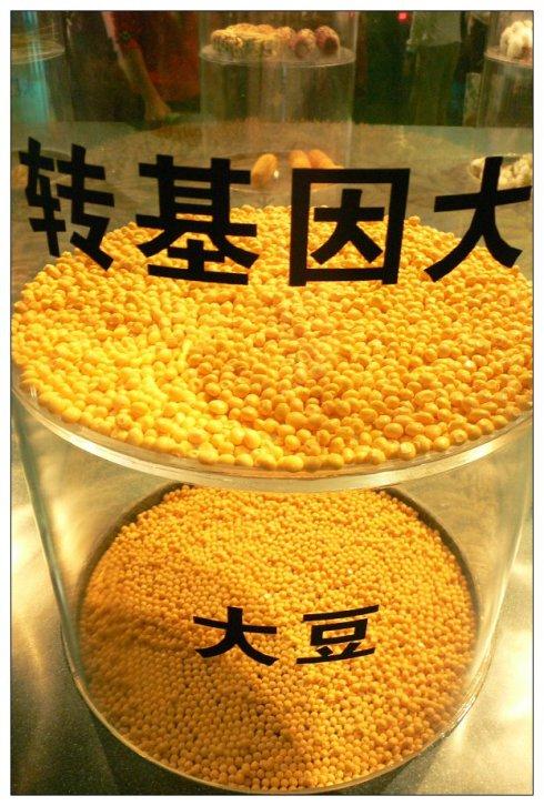 转基因食品