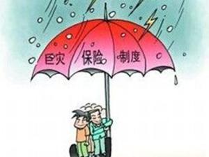 哪里买地震险 300