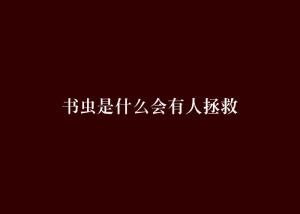 什么是会 300