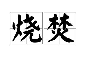 中文名烧焚解释烧毁;烧掉拼音shāo fén注音ㄕㄠ ㄈㄣˊ目录1解释2