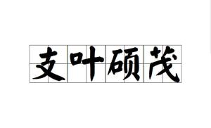 成语声情什么茂_成语故事简笔画(2)