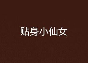 是你的小仙女小说 300