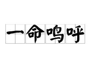 什么命什么呼成语_成语故事图片