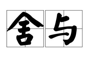 舍的词语 300
