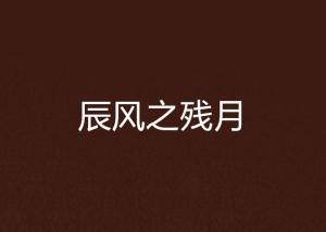 成语什么风残月_凄风残月的图片