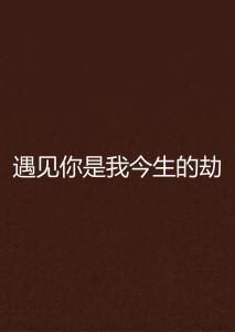 今生今世遇见你的歌词 300