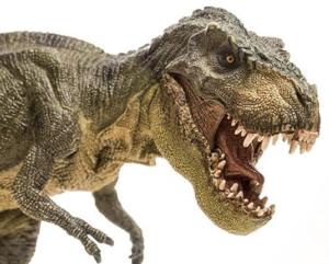 tyrannosaurus),又名暴龙,是暴龙属仅有的一个有效物种,属于暴龙科的