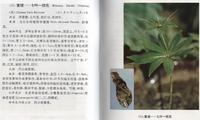 从华鬼臼(又称鸡苔素)中提取到的鬼臼毒素粗品不能直接用来制剂,因为