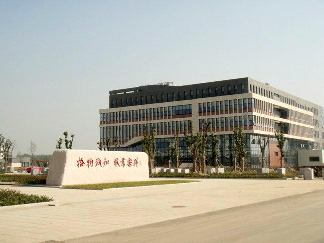 徐州大学排名_中国矿业大学徐州