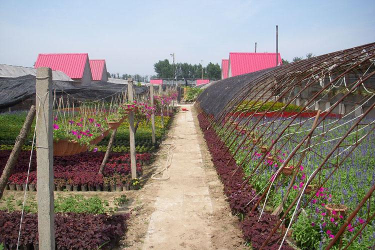 花园村位于北京市怀柔区杨宋镇,现有人口515口人,村土地面积833亩