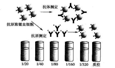 凝集试验