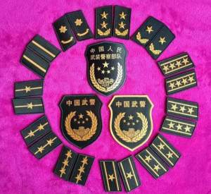 警官警衔的称号为:中将,少将,大校,上校,中校,少校,上尉,中尉,少尉.
