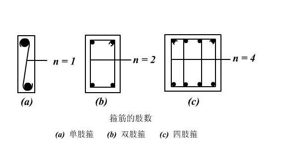 双肢箍