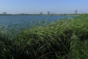 建湖双湖公园图册