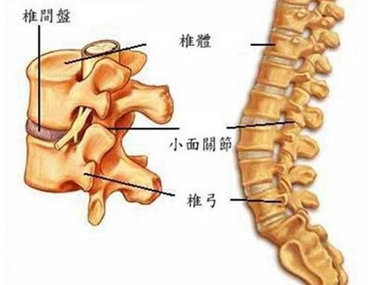 腰椎退变