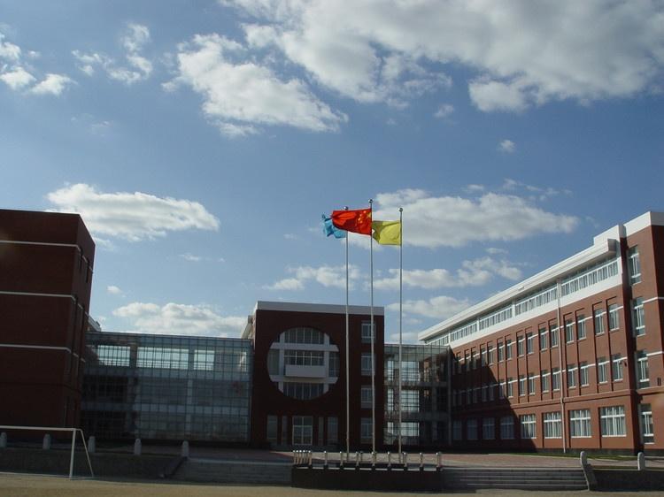 普兰店市高级中学手劳动初中抄报爱图片