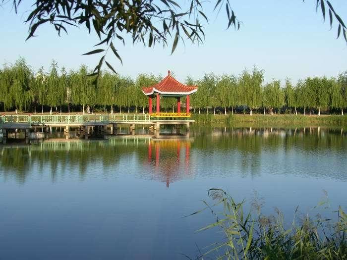 二九一农场