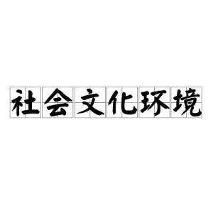 社会文化环境是指在一种社会形态下已形成的信念,价值观念,宗教信仰