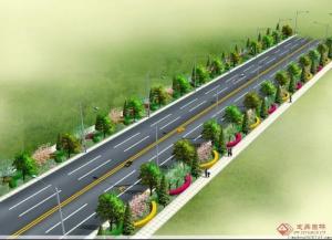 道路绿化常见断面形式有几个类型