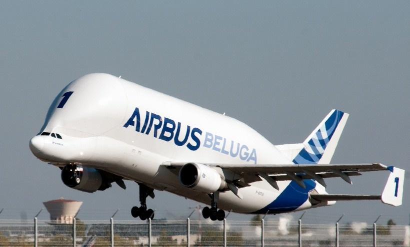 起飞的飞机头 0