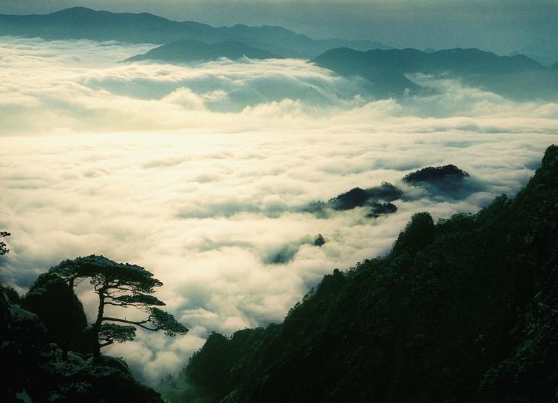 云海松涛