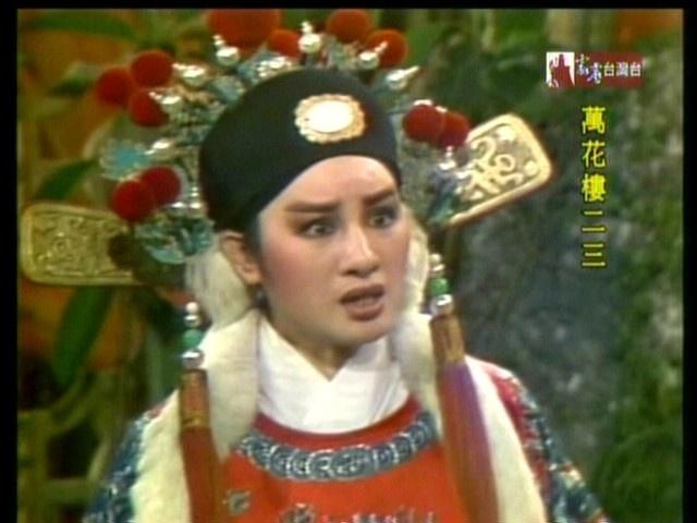 万花楼(1983年版杨丽花电视歌仔戏)