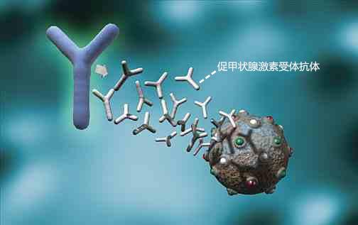 甲状腺微粒体抗体 搜狗百科