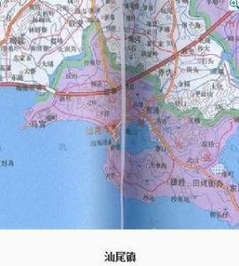 汕尾乡镇人口_汕尾市民网 11 5四镇踏秋游 2011 11 5早上不离按公告约好的时间