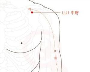 中府穴 - 搜狗百科