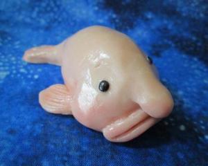 水滴鱼