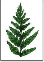 三角柱 - 搜狗百科