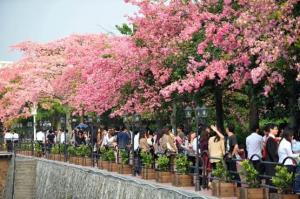 广州大学华软软件学院图册