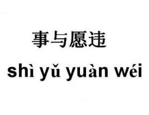 事与愿违,成语,意思是事情的发展与愿望相反,指事情没能