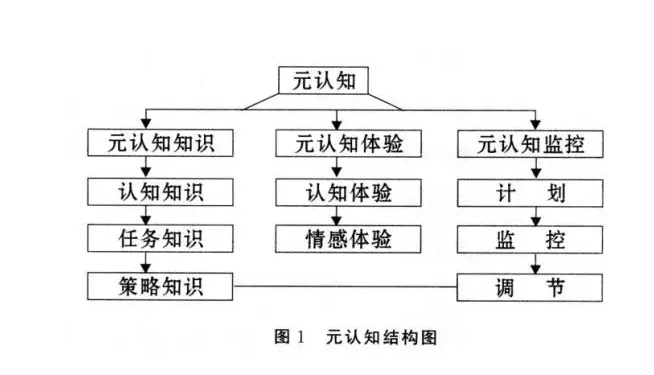 分类2策略意义元认知策略元认知1背景概念录目教育心理学应用范围meta