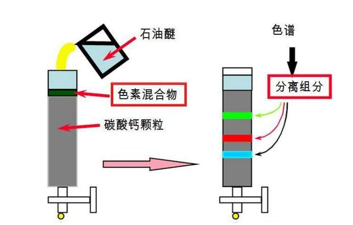 订夹与电火锅与液相色谱分离的原理是什么意思