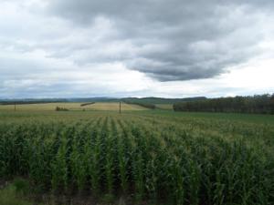 松嫩平原 搜狗百科