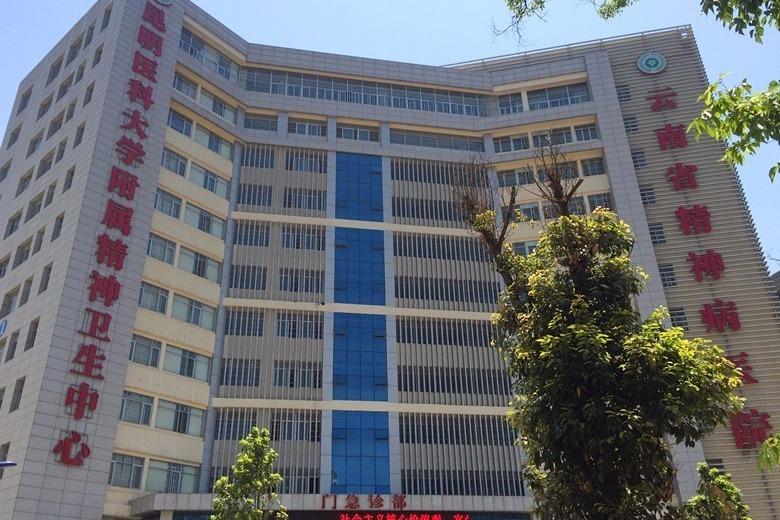 云南省精神病医院建筑设计院的人力资源现状图片