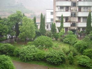 苏溪中学