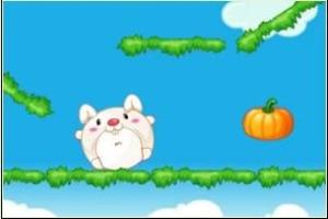 兔子怎么吃才不长胖 300