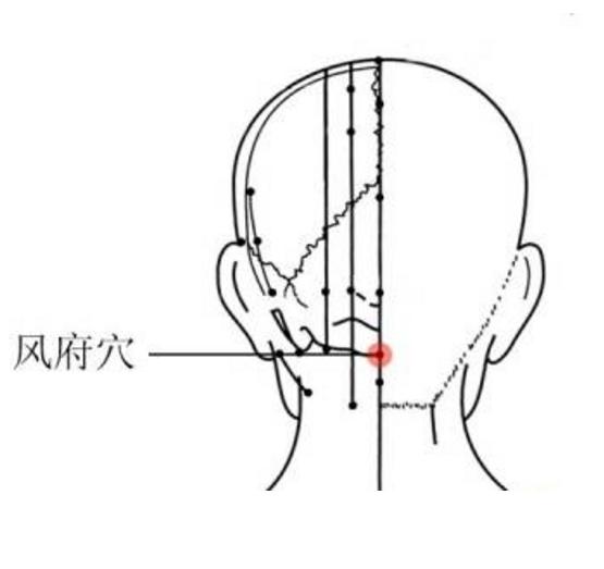 风府穴