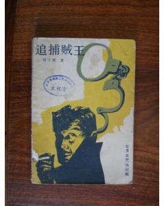 追捕贼王