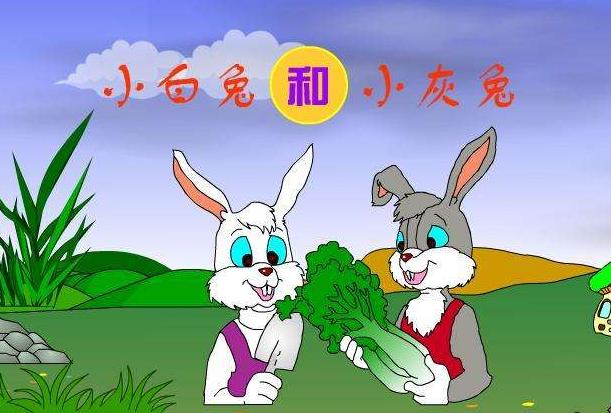 26小白兔和小灰兔课文插图