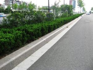 路肩是什么意思