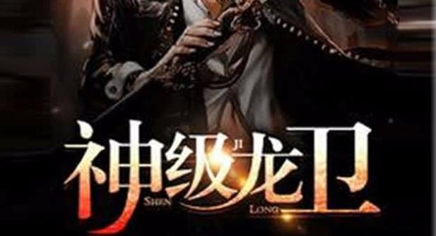 神级龙卫一共有多少章