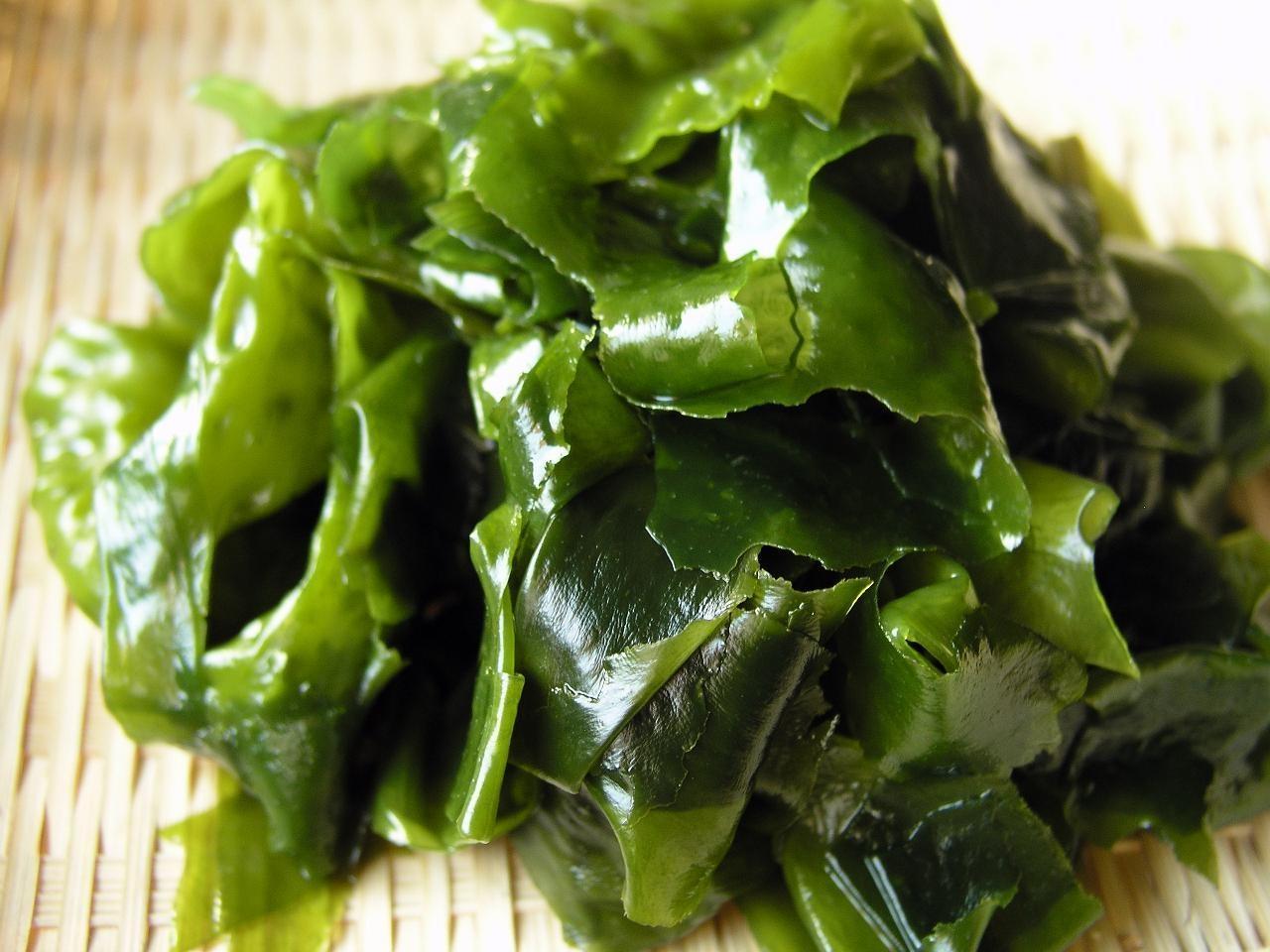裙带菜褐藻门,褐子纲,海带目,翅藻科,裙带菜属.